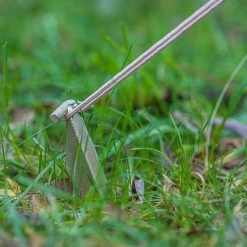 Nordisk - Steel T-Peg Pløkker (2-pak) -VildmarksEventyr nordisk 119037 steel t peg 02.w610.h610.fill